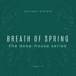Deep In The Night (Maui's Tropical Beach Remix)