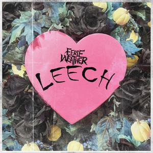 LEECH (Explicit)