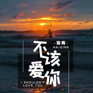 海青 - 不该爱你 (伴奏)