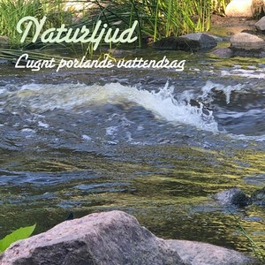 Lugnt Porlande Vattendrag