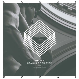 Realms of Silence (Notamous Remix)