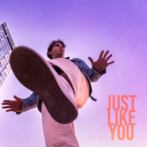 Just Like You