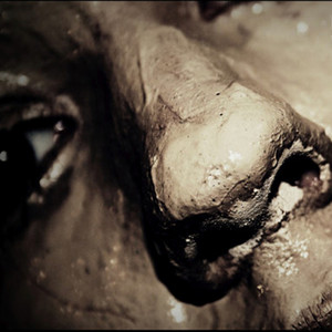 Purple Earth (Instrumental Version)