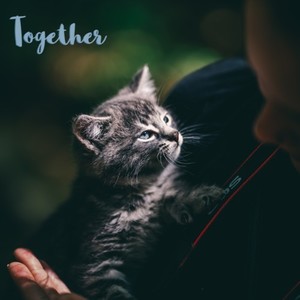 First Days of Spring