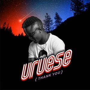 Shine Shine Bobo (feat. Godwin Idios & Nas Tee)