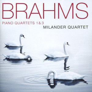 Piano Quartet in G Minor, Op. 25 - I. Allegro (G小调钢琴四重奏，作品25 - 第一乐章 快板)