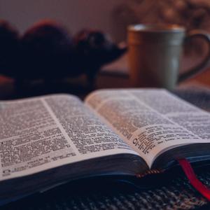 HATE(feat. Rocstar) (Explicit)