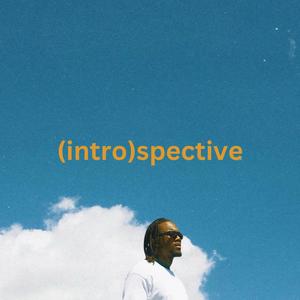 Introspective (Explicit)