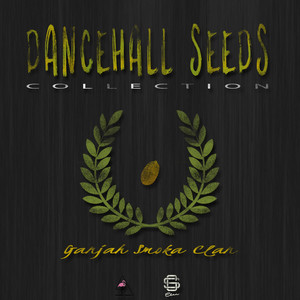 Dancehall Seeds Collection