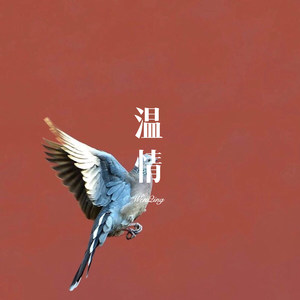 江南江北江夜色 (Remix)