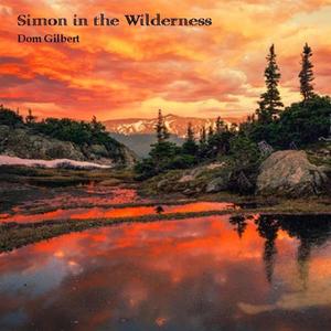 Simon in the Wilderness