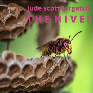 The Hive!