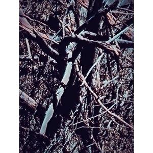 TheFall