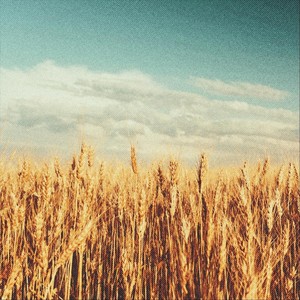 All I Need [feat. Dwan Williams] (Live)