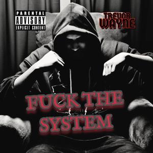 **** The System (Explicit)