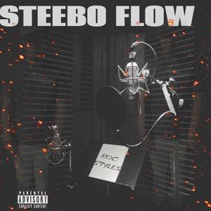 SteeBo Flow (Explicit)