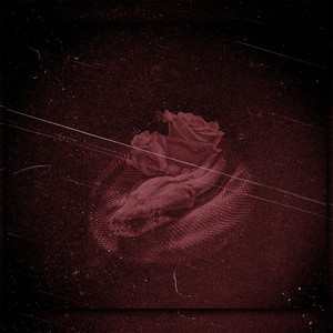 Noi Insieme (Explicit)