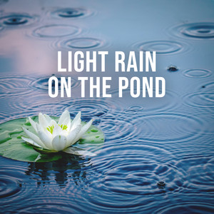 light rain on the pond, pt. 8