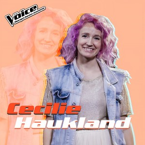 Vi er perfekt men verden er ikke det (Fra TV-Programmet "The Voice")