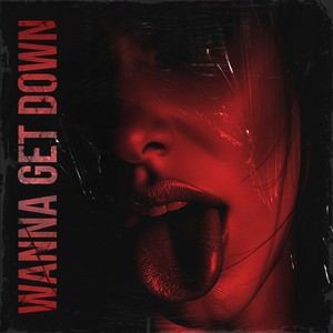 Wanna Get Down