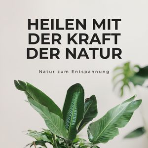 Heilen mit der Kraft der Natur: Ruhige und besinnliche Verse aus der Natur zum Entspannung