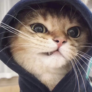 爱就一个字 (Live)