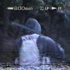 VHS (Explicit)