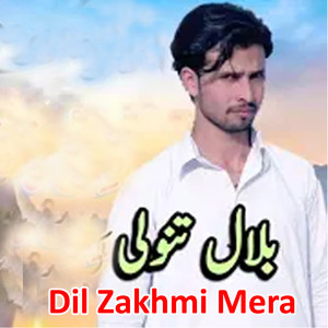 Dil Zakhmi Mera