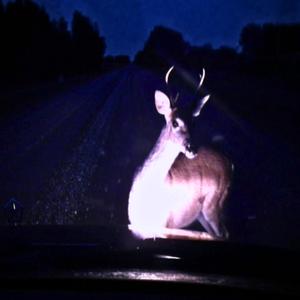 t o o m u c h t i m e