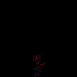 Say That You Love Me (Explicit)