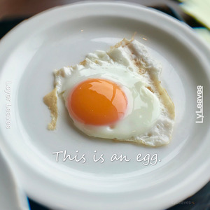 An Egg