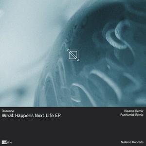 What Happens Next Life (Punktmidi Remix)