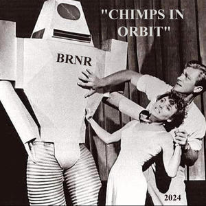 Chimps in Orbit