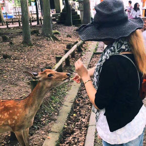 因为懂得所以慈悲