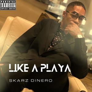 Like A Playa (Explicit)