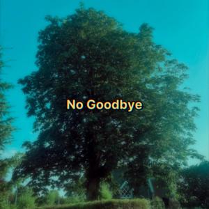 No Goodbye