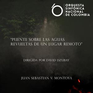 Puente sobre las aguas revueltas de un lugar remoto (feat. Orquesta Sinfónica Nacional de Colombia & David Dzubay)