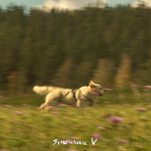 I Left My Soul in the Mountains