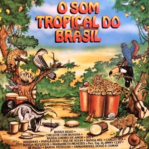 O Som Tropical do Brasil