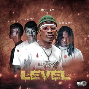 Level (feat. Barrywise, Hayzee & Dammyflex)