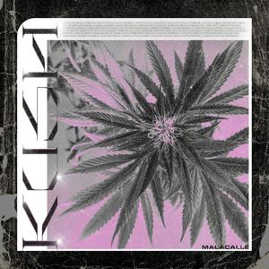 Kush(feat. Lowca, Pvral, Sini & Vasilij) (Explicit)