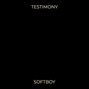 Testimony (Explicit)