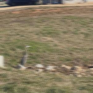 for you (Demo|Explicit)