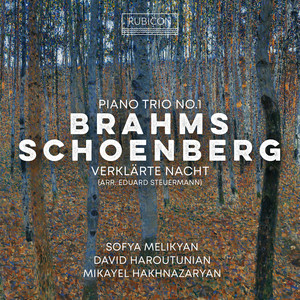 Brahms: Piano Trio No. 1 in B Major, Op. 8 (1889 Version) : III. Adagio