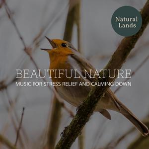 Beautiful Nature - Music for Stress Relief and Calming Down