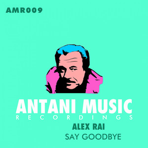 Say Goodby (Radio Edit)