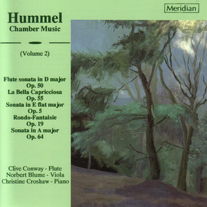 Flute Sonata in D Major Op. 50: Allegro con Brio