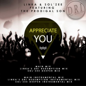 Appreciate You (Linka's DRI Redemption Instrumental Mix)