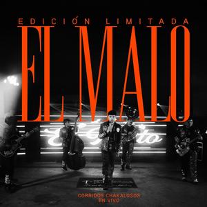 Borracho de Amor (Live)
