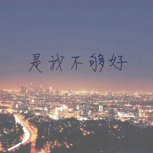 是我不够好
